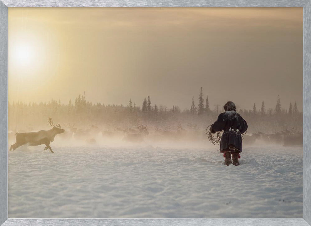 Reindeer hunter Poster