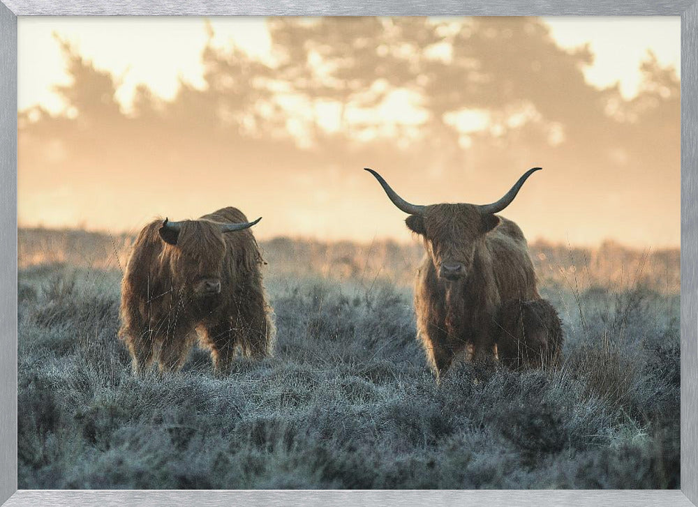 Three Highlanders Poster