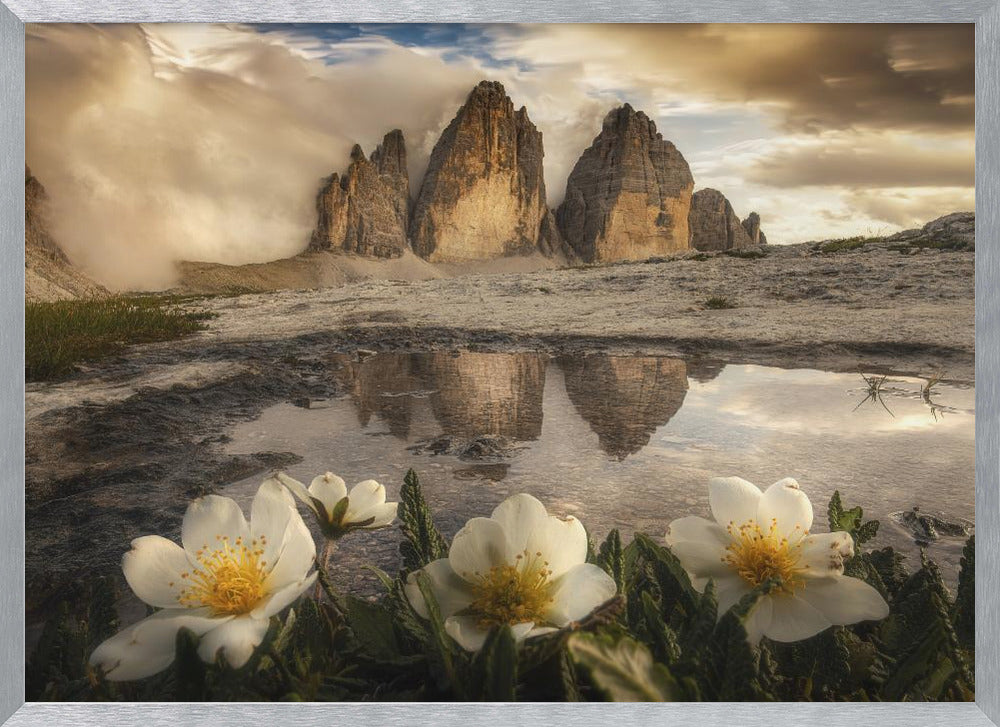 Tre Cime di Lavaredo, always great emotions! Poster