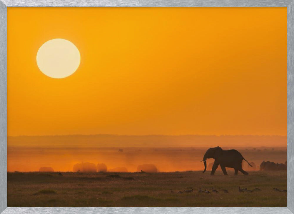 A Golden Morning Poster