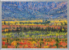 Fall Color in The Mountain Poster