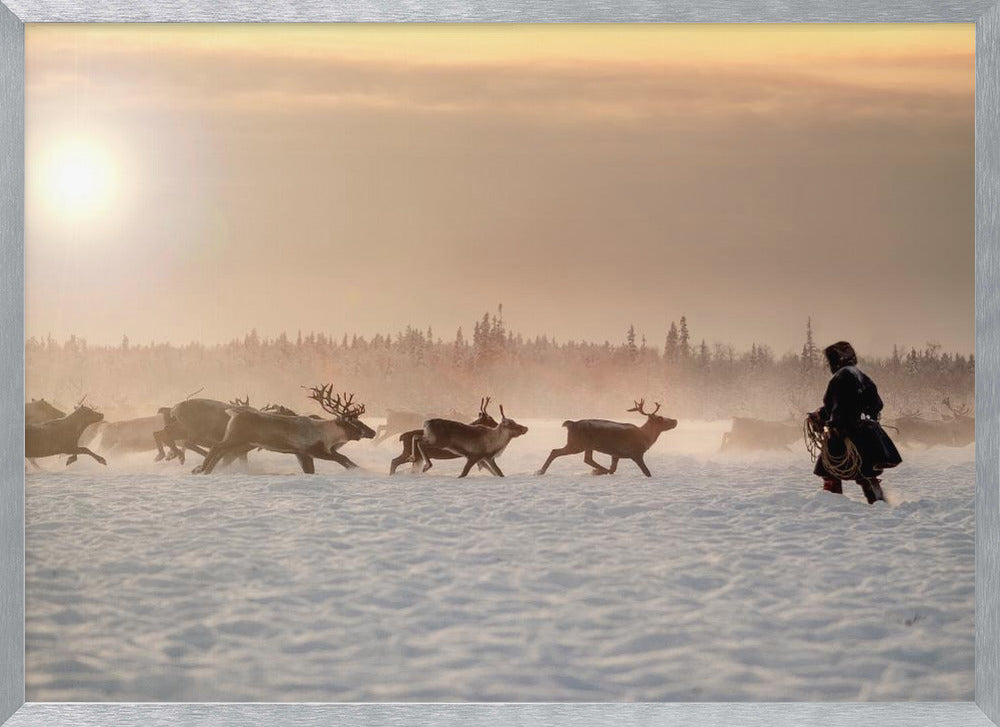 Reindeer hunter Poster