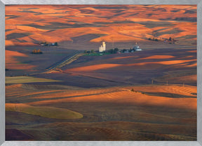 Golden Palouse Poster