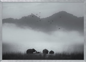 misty moments Poster