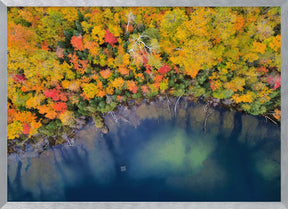 Autumn Pond Poster