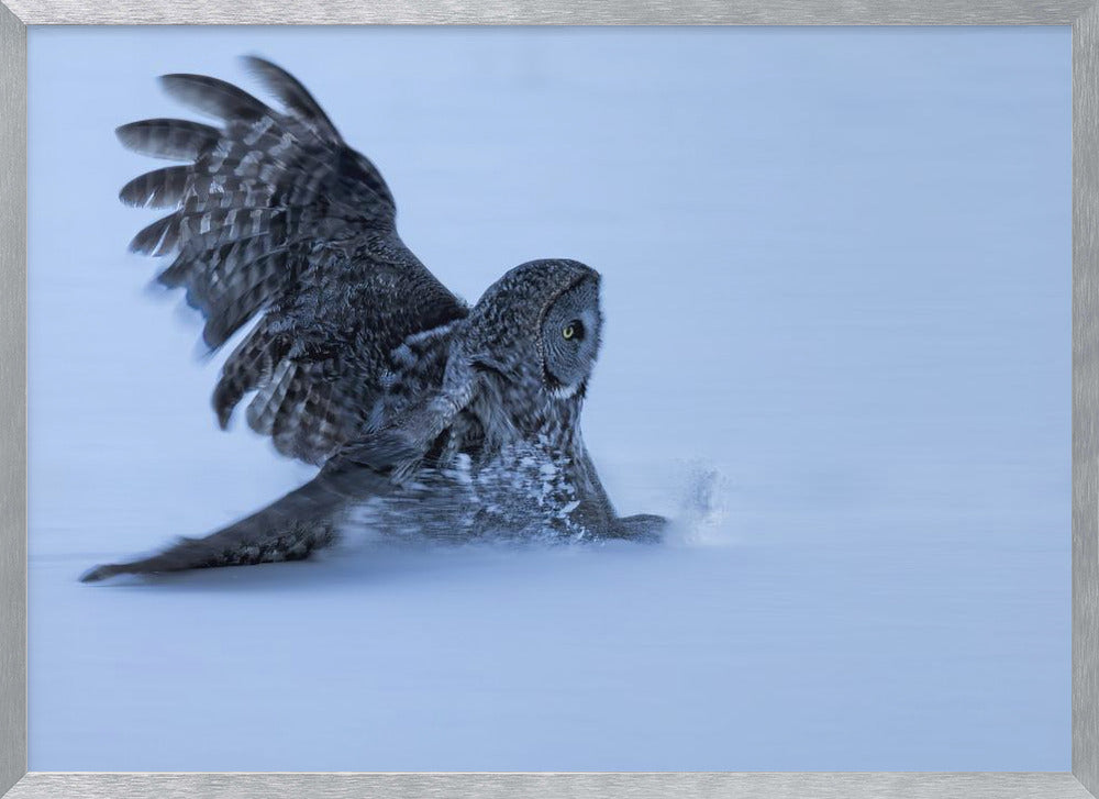 Sliding in The Snow Poster