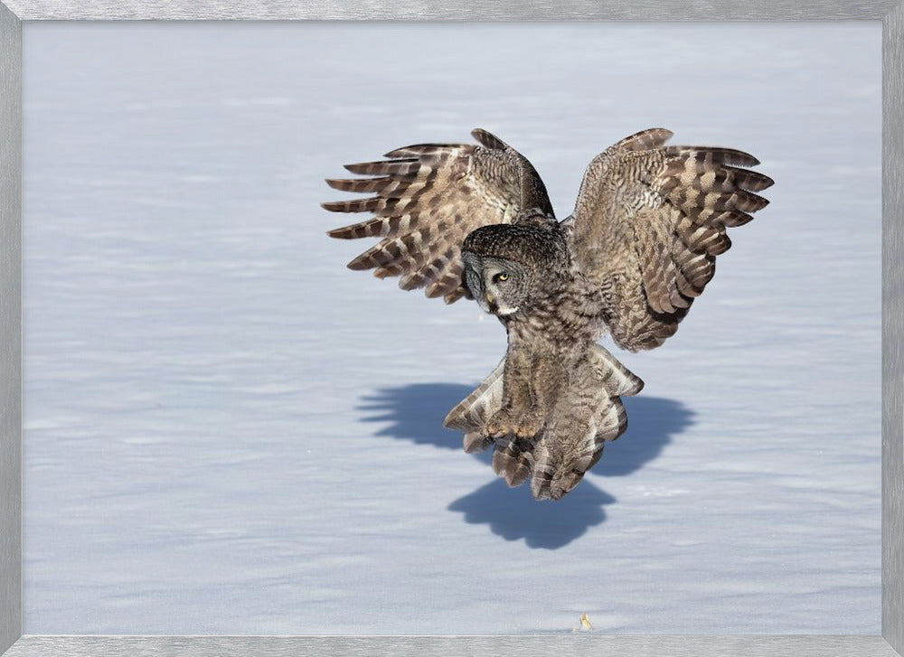 Just Before The Catch Poster