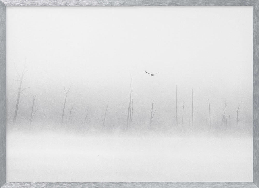 misty moments Poster