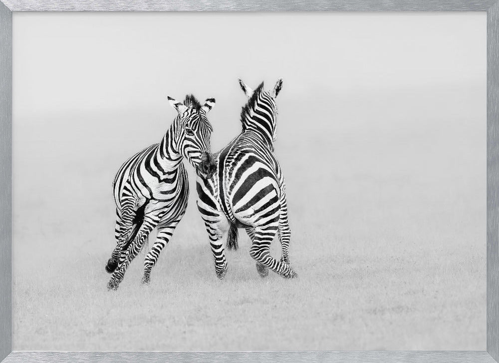 Playing or Fighting? Poster