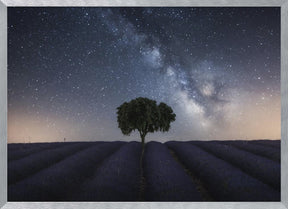 Tree and Milky Way Poster