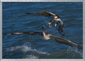 Robbery on the Ocean Poster