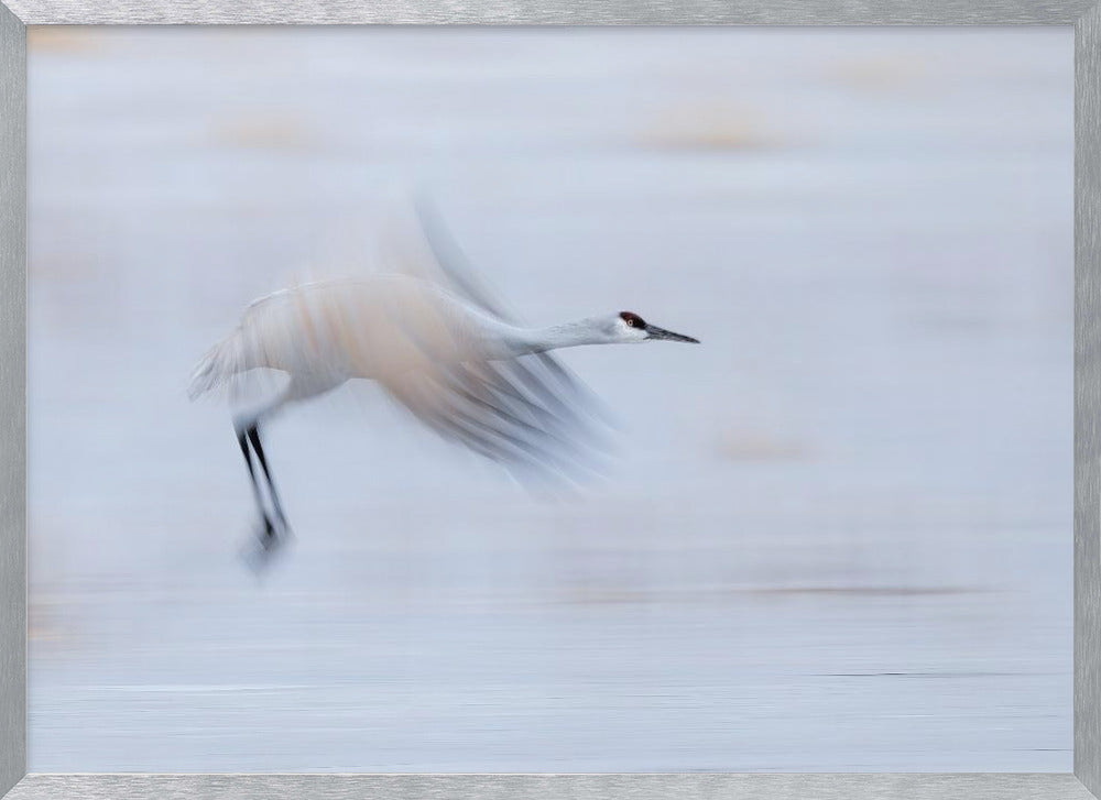 Taking Off Poster