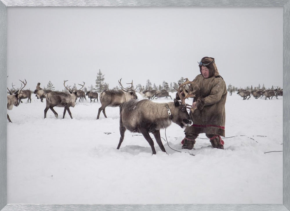 Jigori hunts reindeer III Poster