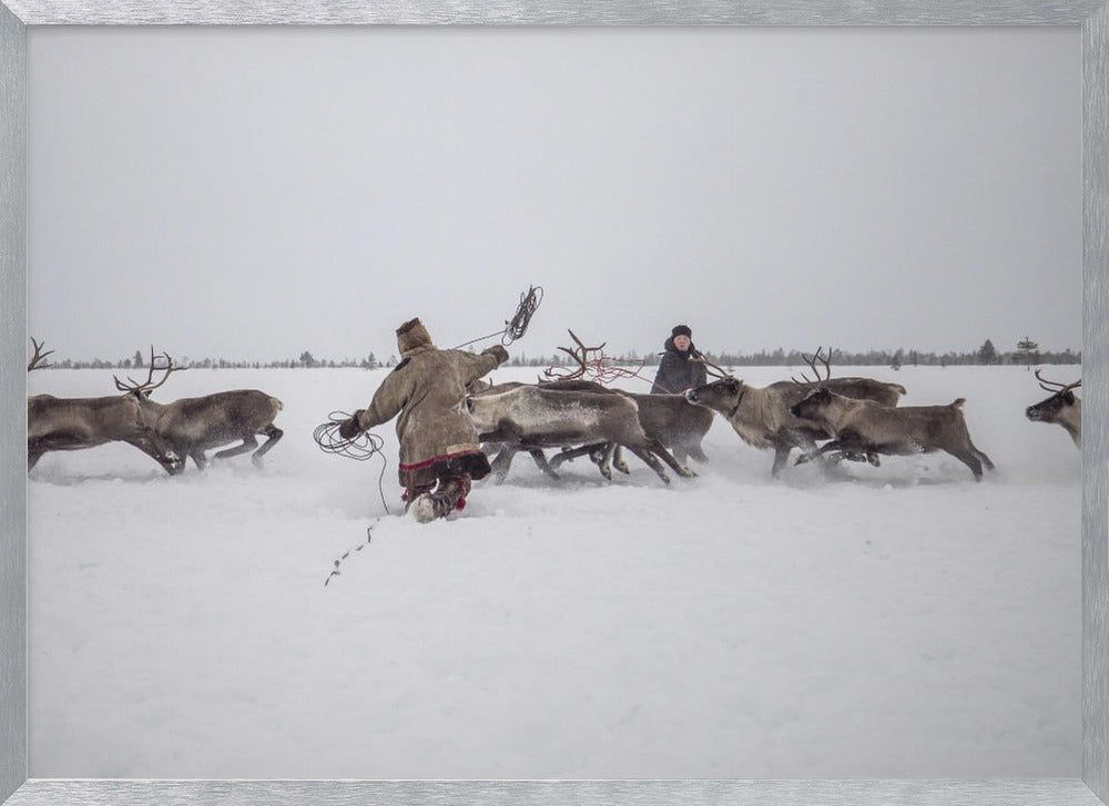 Jigori hunts reindeer I Poster