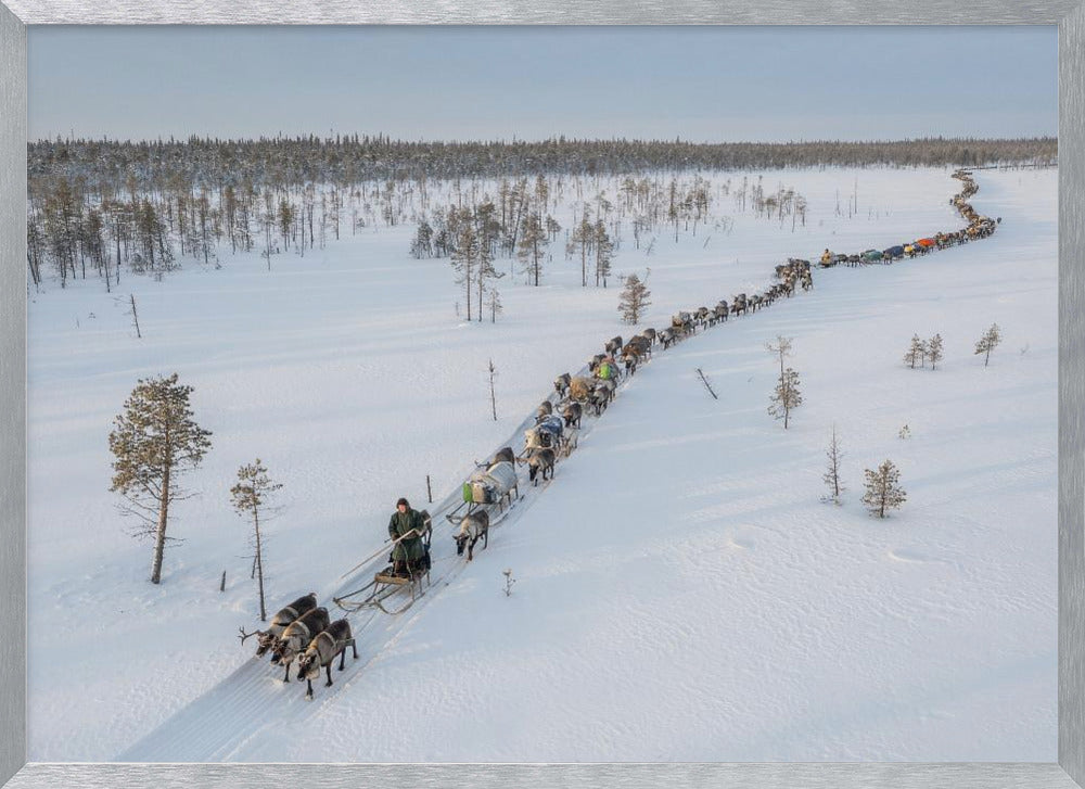 Nenets caravan on the move I Poster