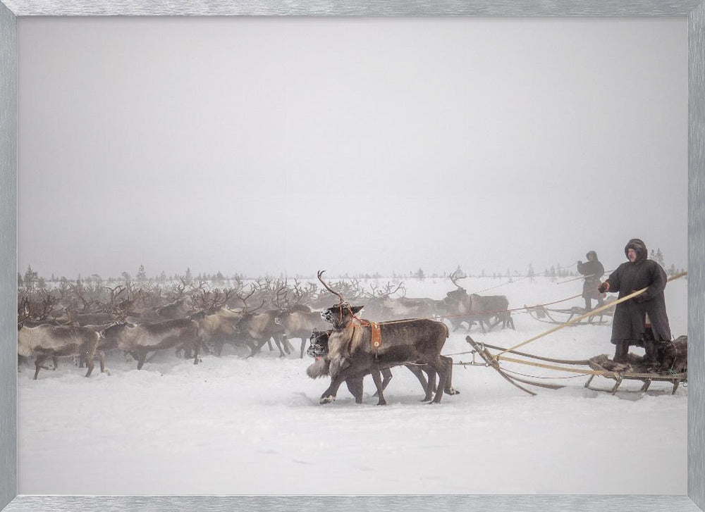 Arkadij and Kolja riding the herd Poster