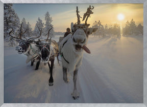 Frozen ride in tundra Poster