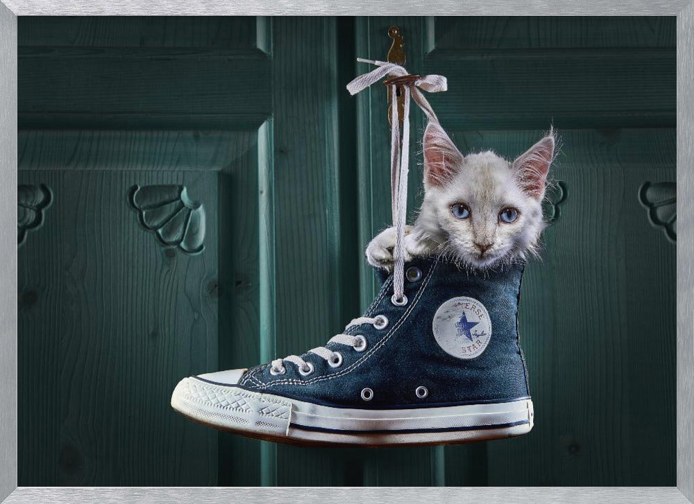 CatShoe Poster