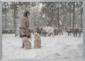 Jigorij, dogs and the herd Poster