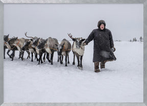 Arkadij and his reindeers Poster