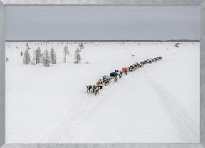 Crossroads in the tundra Poster