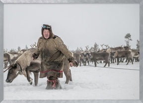 Jigorij leads the captured reindeer Poster