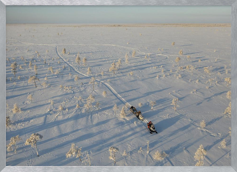 Lost in the tundra Poster