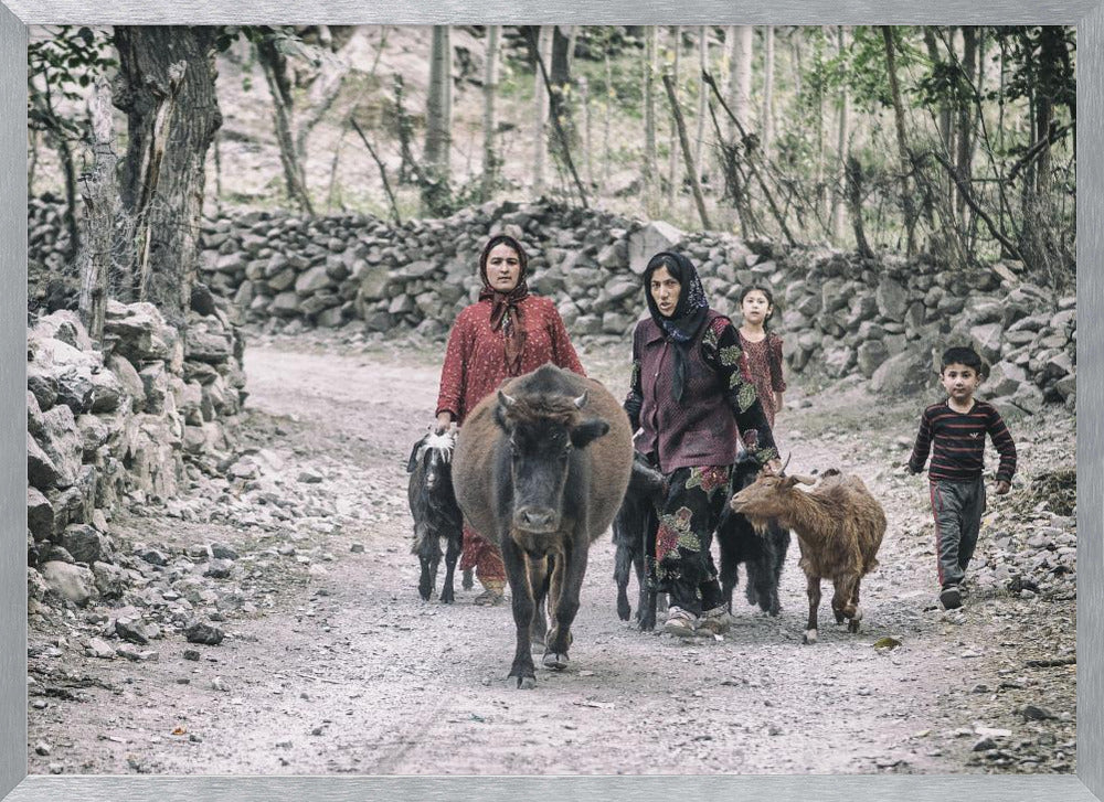 Tajik women and livestock on the way from pastures Poster