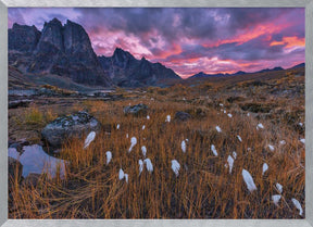 Fall Color in the Mountain Poster