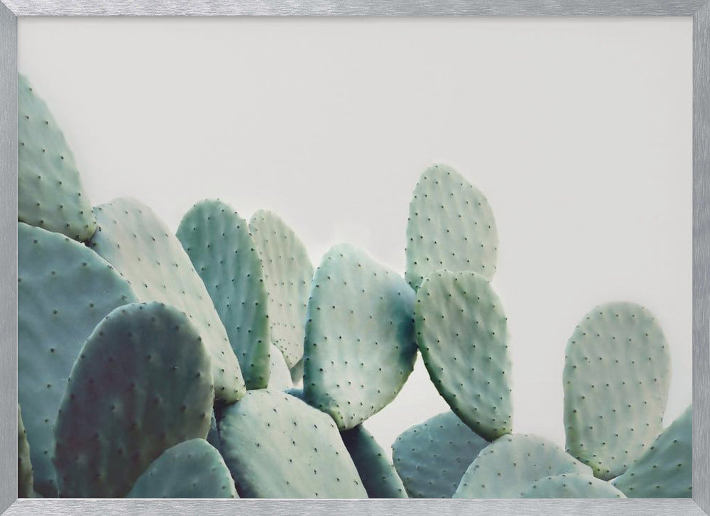 Pastel Cactus Poster