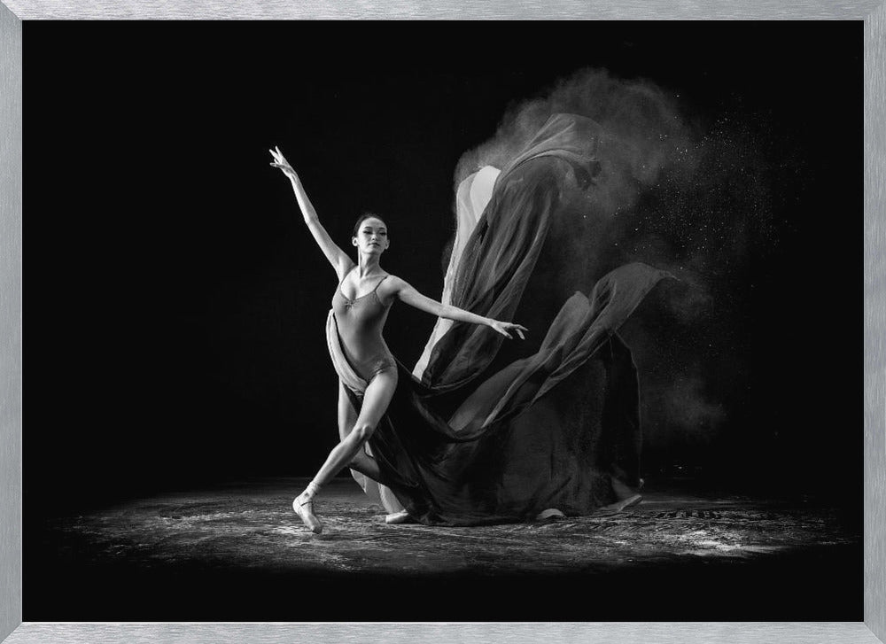 Step of Balerina Poster