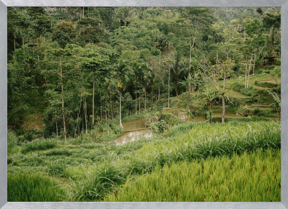 Tetebatu Lombok Poster