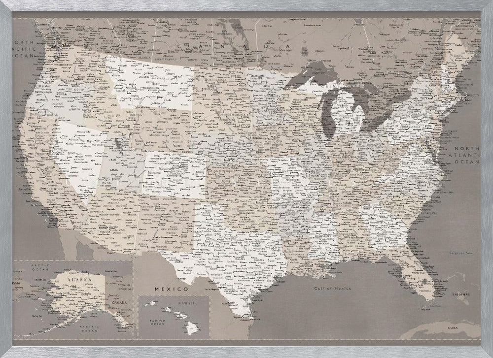 Highly detailed map of the United States, dark taupe Poster