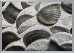 Sea Shells Detail No 5 Poster