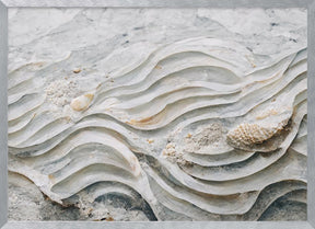 Sea Shell Detail No 6 Poster