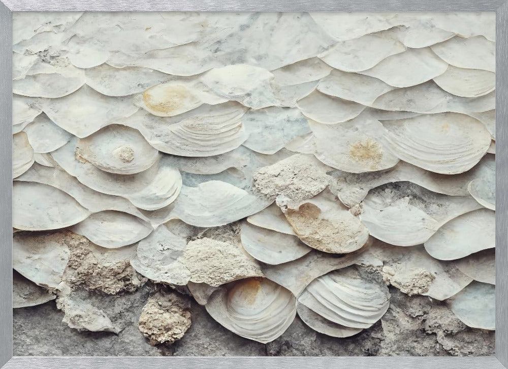 Sea Shells Detail No 7 Poster