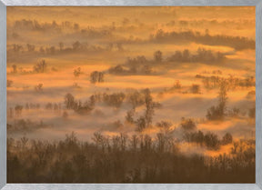 Morning mists Poster