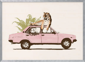 Tiger On Car Poster