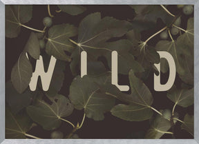 Wild Nº2 Poster