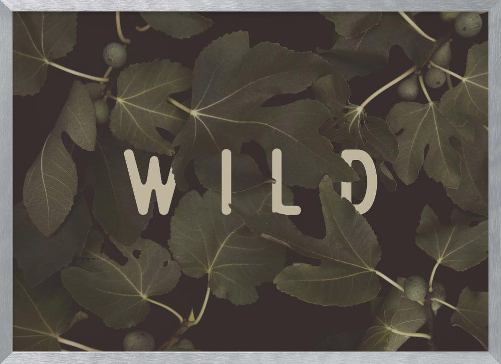 Wild Nº1 Poster