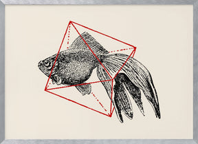 Fish In Geometrics Nº3 Poster