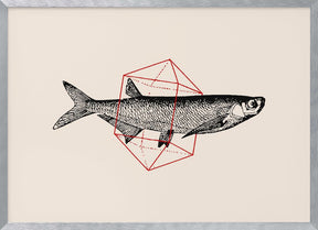 Fish In Geometrics Nº2 Poster