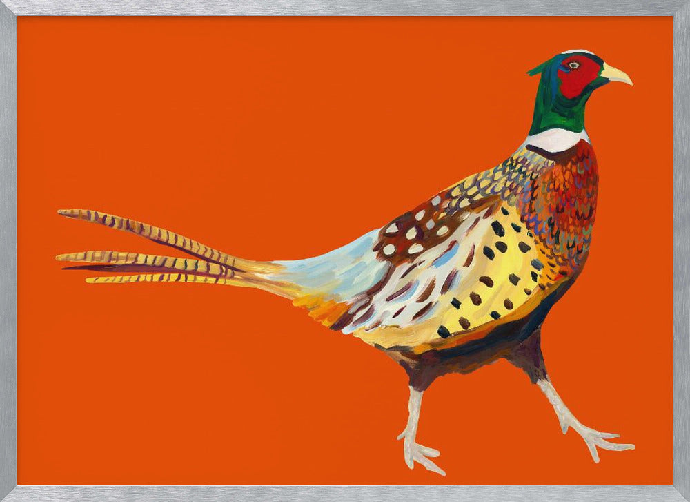 Strutting Pheasant On Orange Poster