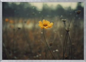 Yellow Flower Poster