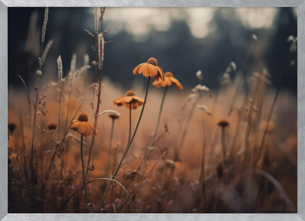 Orange Margarites Poster