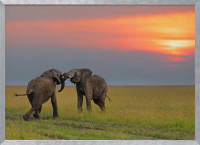 Dancing at The Sunset Poster