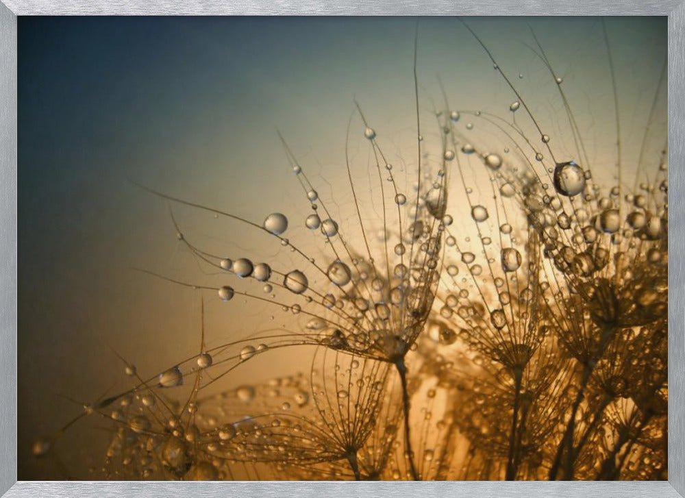 Tender is the Night Poster