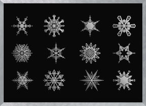 Twelve geometric snowflakes in black Poster