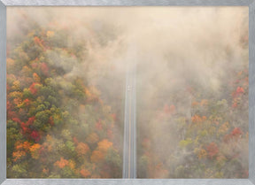 Road through Autumn Forest Poster