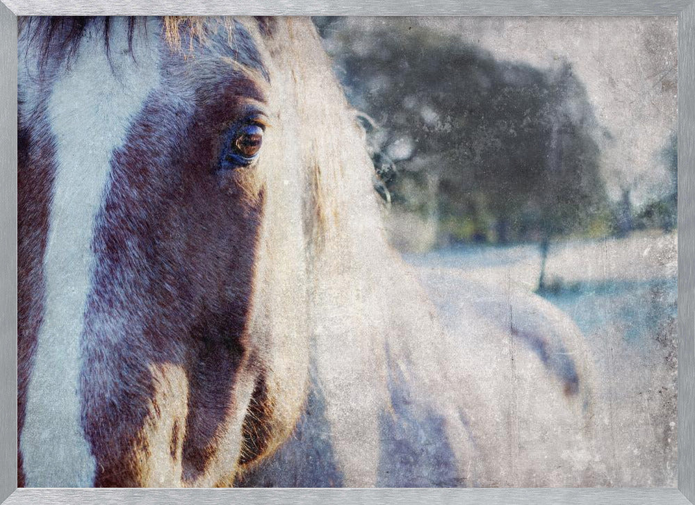 High Sierra V Poster